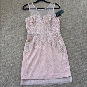 BCBG Dusty Pink Dress